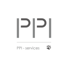 Logo PPI Services